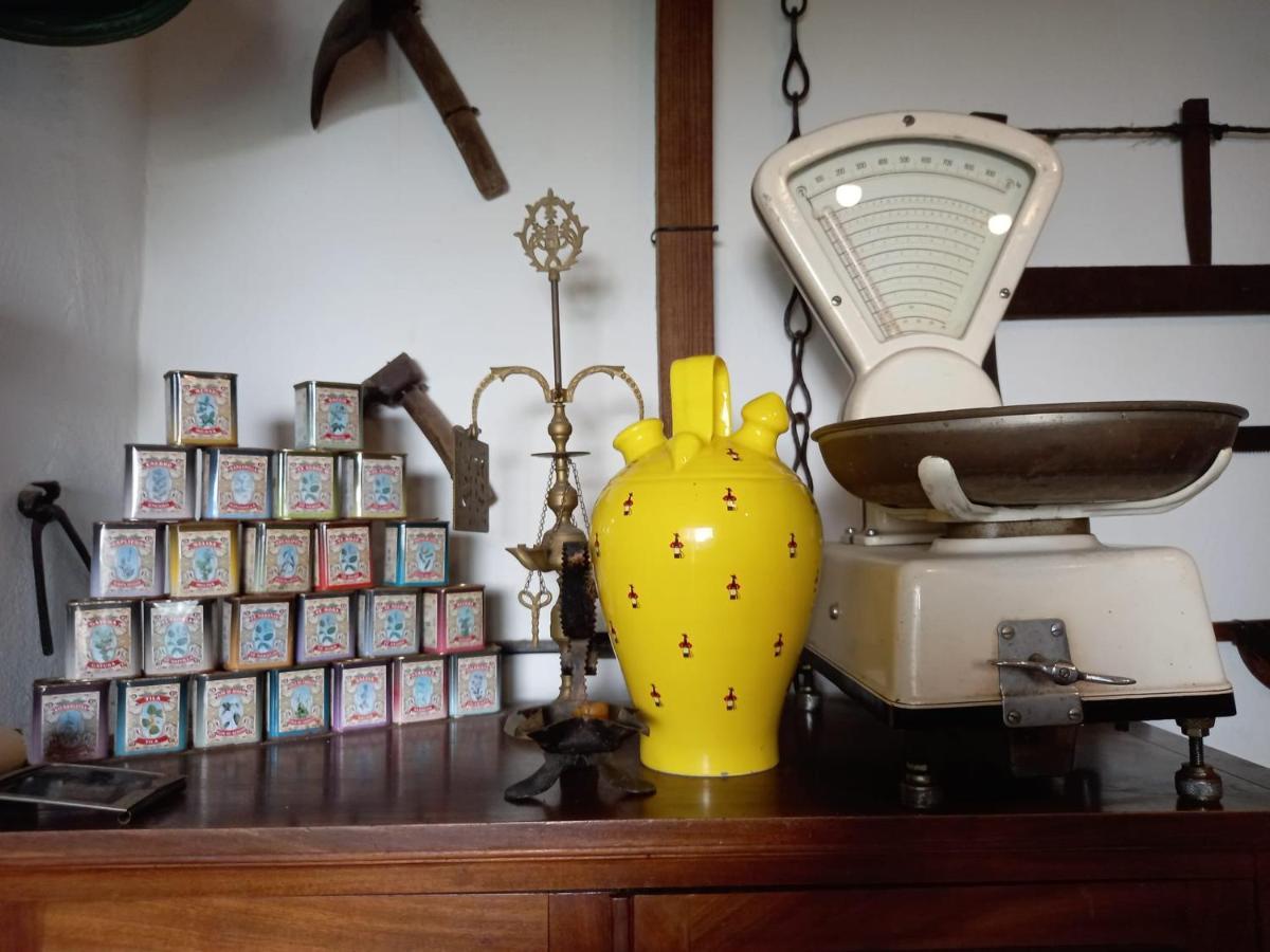 Casa Museo Jerez Centro Apartment เฮเรซ เด ลาฟรอนเตรา ภายนอก รูปภาพ