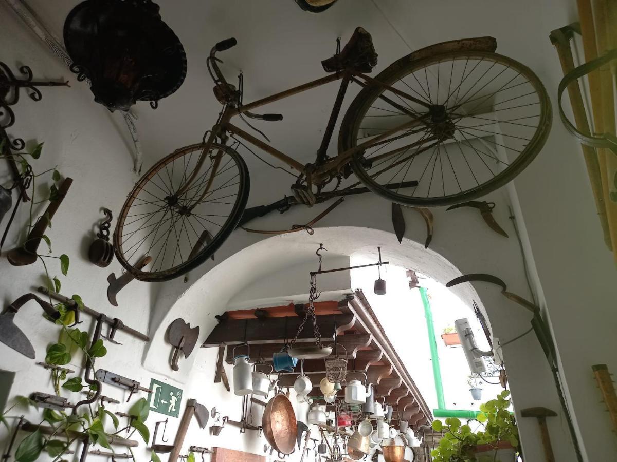 Casa Museo Jerez Centro Apartment เฮเรซ เด ลาฟรอนเตรา ภายนอก รูปภาพ