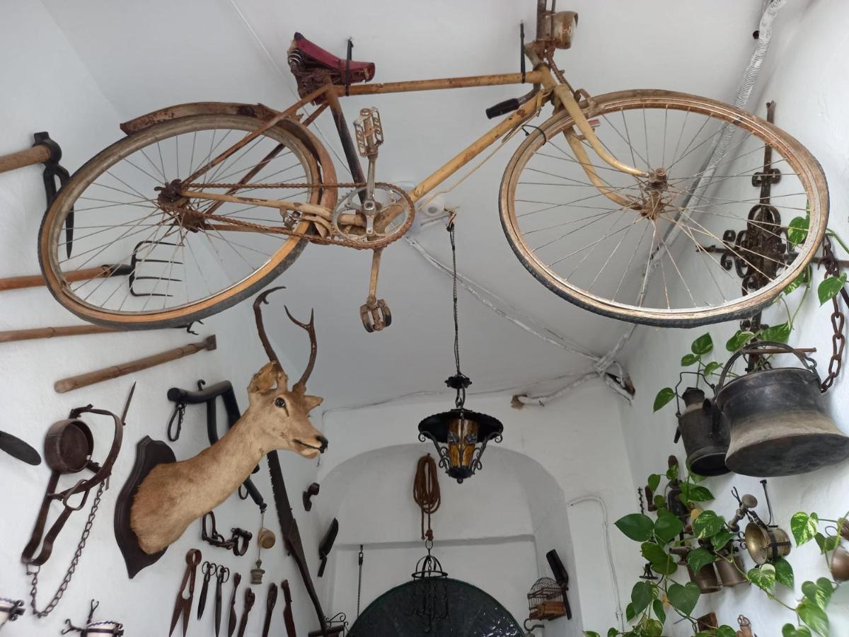 Casa Museo Jerez Centro Apartment เฮเรซ เด ลาฟรอนเตรา ภายนอก รูปภาพ