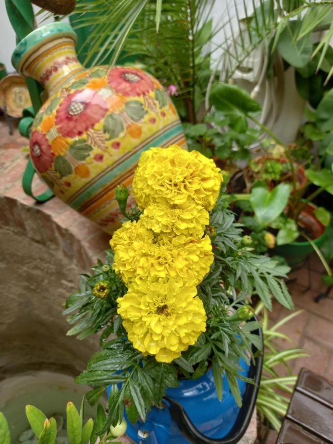 Casa Museo Jerez Centro Apartment เฮเรซ เด ลาฟรอนเตรา ภายนอก รูปภาพ